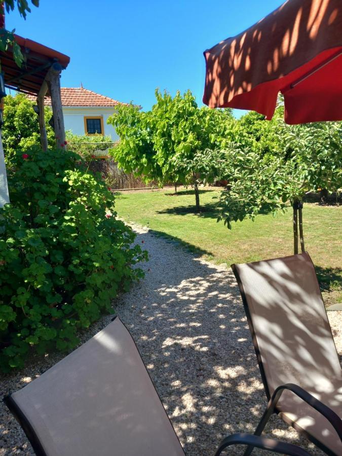 Apartamento O Ninho Do Rei Vila de Rei Exterior foto